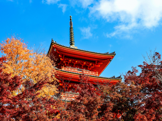 Kiyomizu-dera temple pagoda framed by crimson and orange autumn foliage against a bright blue Kyoto sky, capturing Kyoto’s historic fall scenery in Japan.