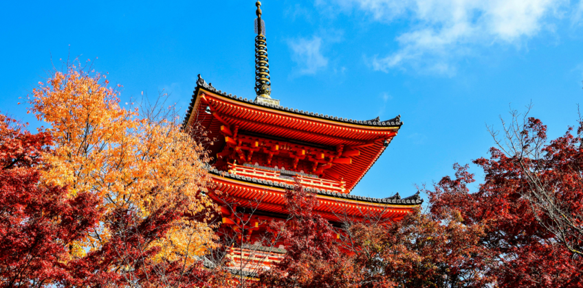 Kiyomizu-dera temple pagoda framed by crimson and orange autumn foliage against a bright blue Kyoto sky, capturing Kyoto’s historic fall scenery in Japan.