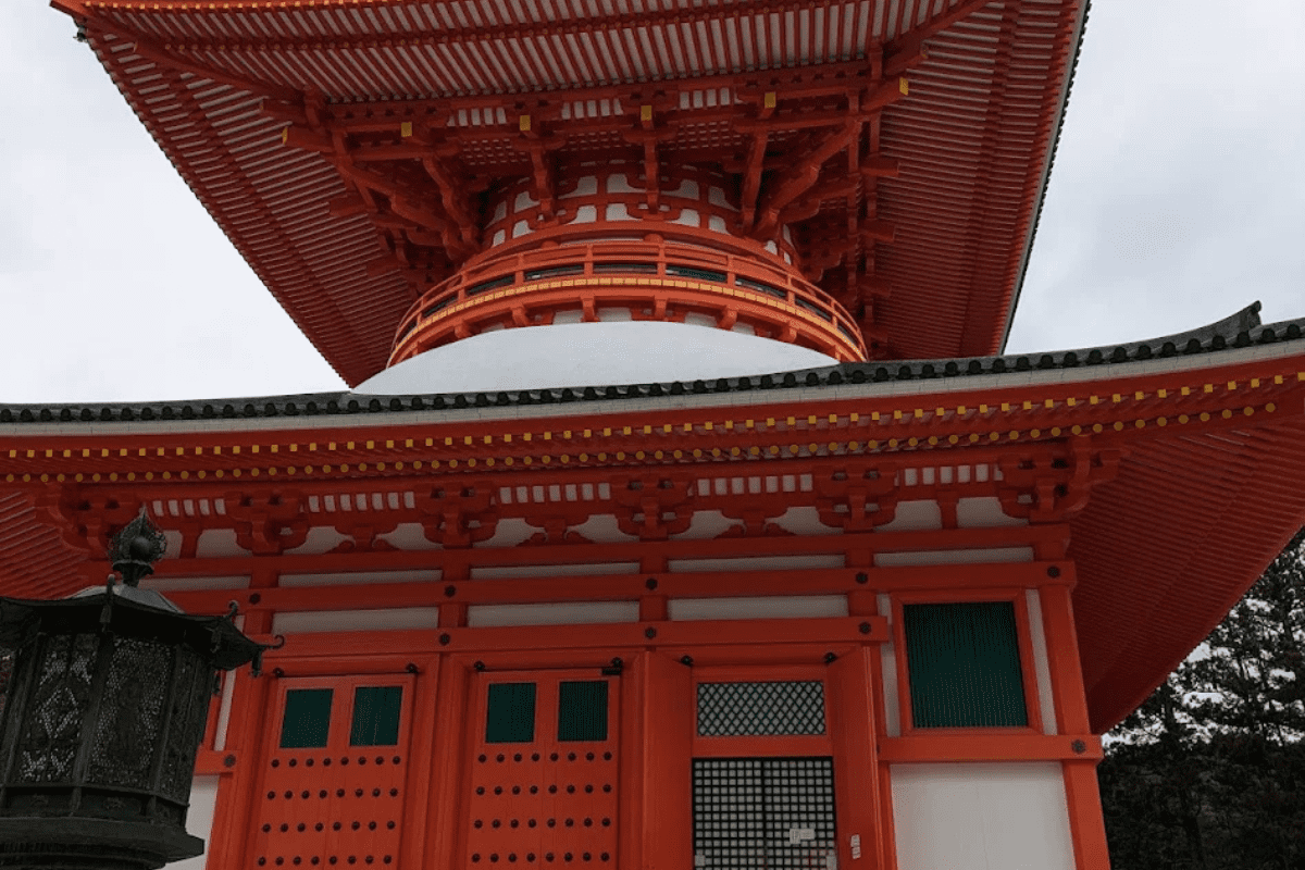 Stone lanterns covered in moss, arranged in a row within a forested area, showcasing traditional Japanese design.