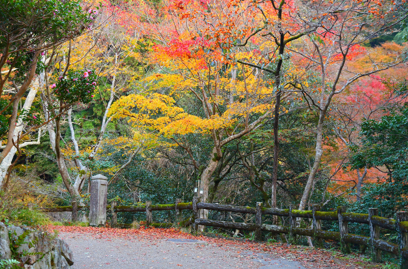 10 Best Osaka Family Attractions for an Unforgettable Trip 3 image 46