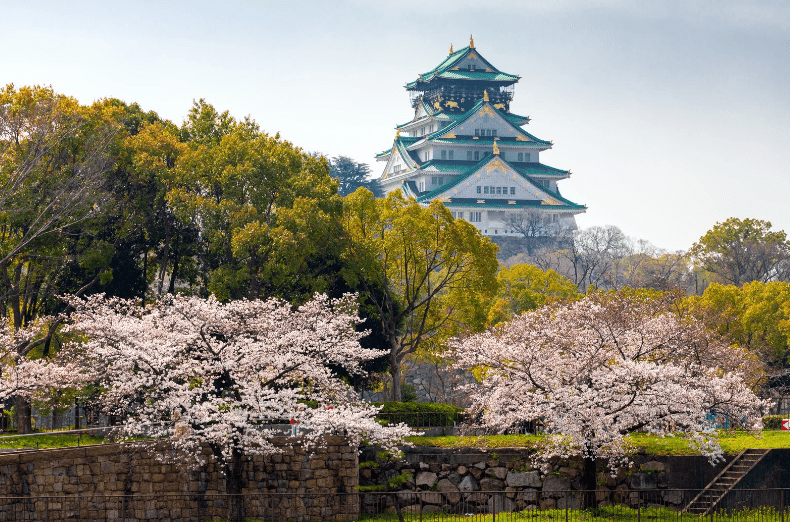 10 Best Osaka Family Attractions for an Unforgettable Trip 4 image 47