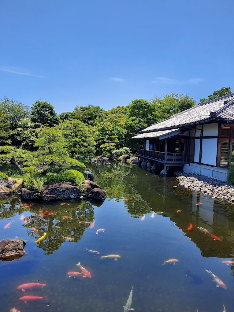 Kansai Travel Blogs 24 Koi fish swimming in a tranquil pond surrounded by greenery and traditional Japanese architecture.