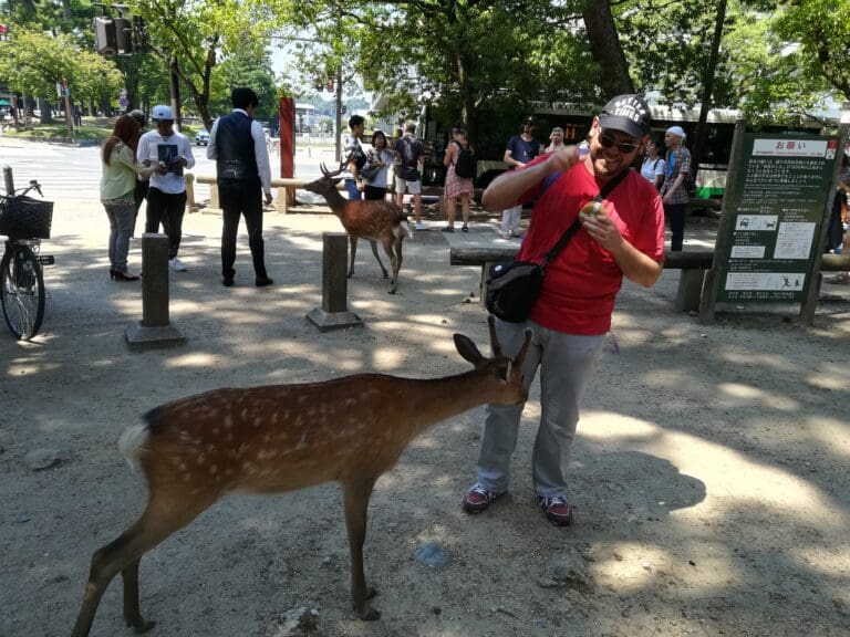 sdr-3 A man in a red shirt interacting with a deer in Nara Park, surrounded by visitors and trees.