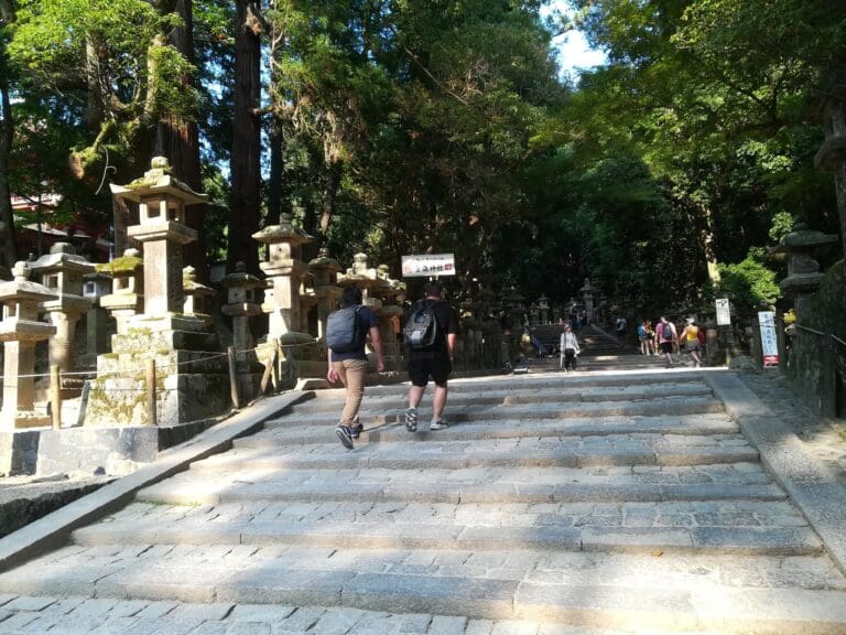 dav-3 Two individuals walking up stone steps towards a shrine, surrounded by stone lanterns and trees in Nara, Japan.
